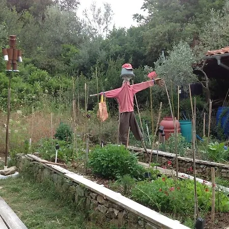 Tiny House In The Nature Volos