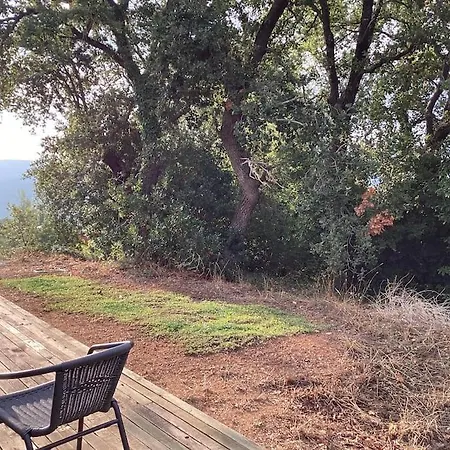 Tiny House In The Nature