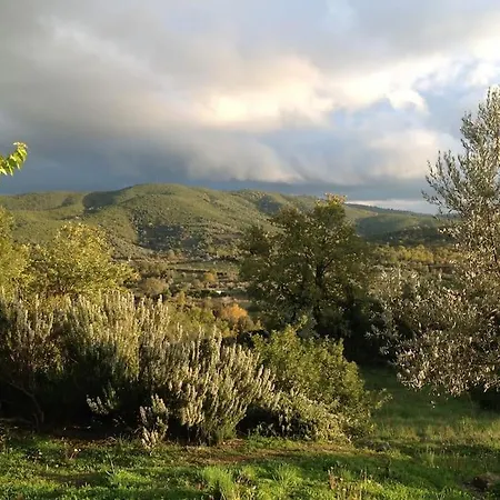 Tiny House In The Nature Apartment Volos